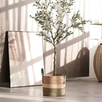 Natural woven basket with green stripes holding a small olive tree