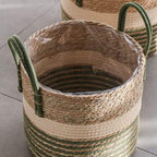 Natural woven basket with green stripes holding a small olive tree