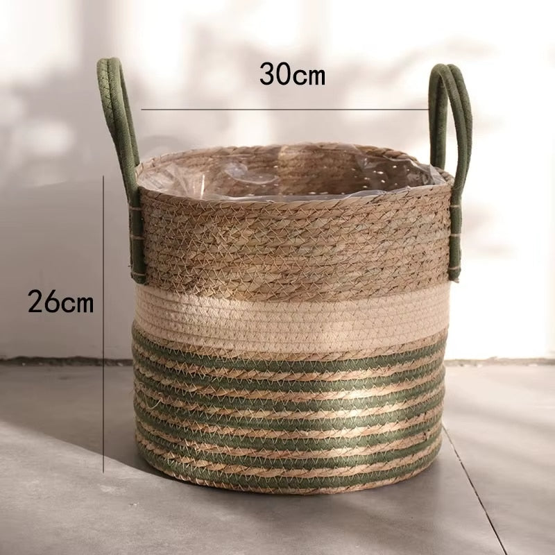 Natural woven basket with green stripes holding a small olive tree