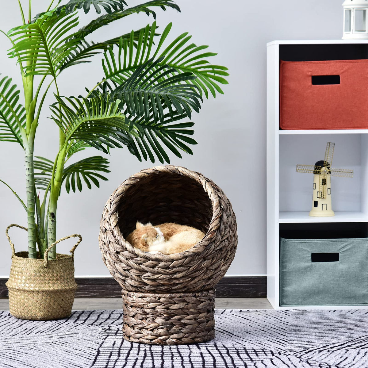 Round braided cat bed on a braided pedestal with a beige cushion