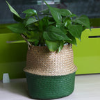 Stack of foldable woven belly baskets with green bases