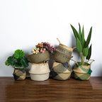 Foldable hand woven wicker planter basket with a rectangle pattern