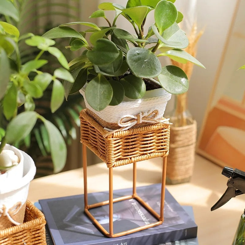 Small square hand woven rattan planter raised on legs