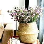 Three small woven belly baskets hanging on wall hooks with plants