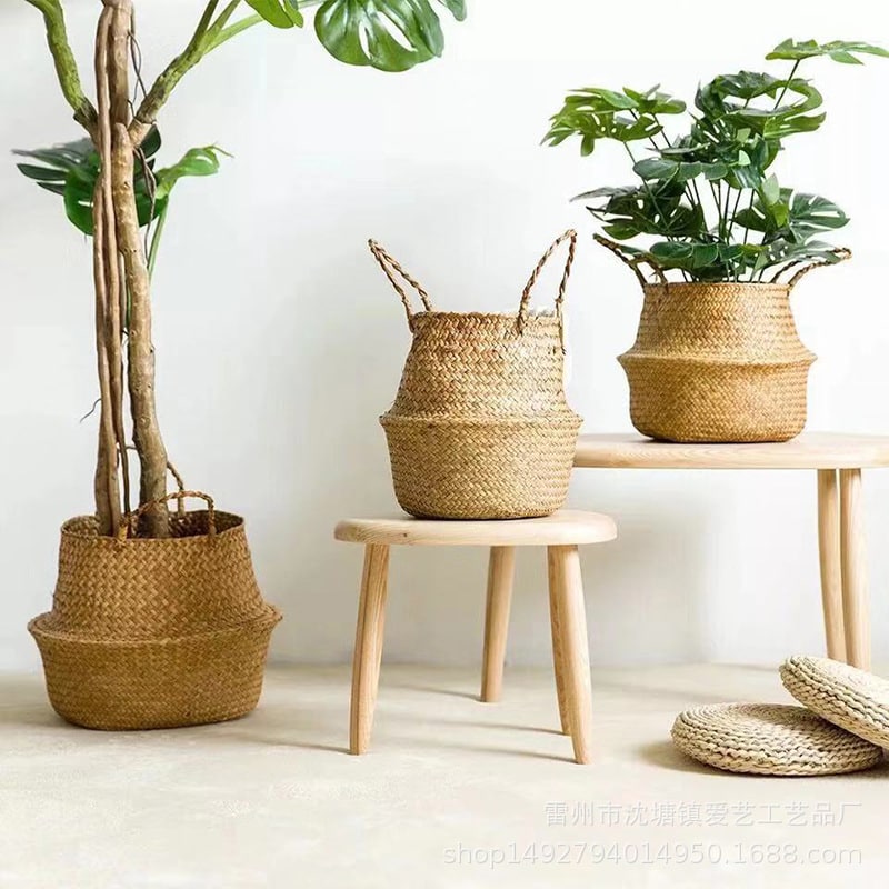 Three small woven belly baskets hanging on wall hooks with plants