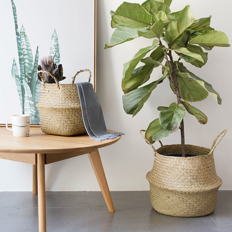 Three small woven belly baskets hanging on wall hooks with plants