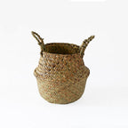 Three small woven belly baskets hanging on wall hooks with plants