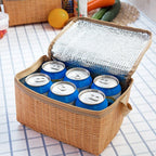 Small insulated picnic lunch bag with a woven look and carry handle