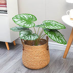 Large hand woven rattan floor planter with woven handles