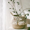 Woven belly basket with macrame sleeve and fringe holding a plant