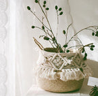 Woven belly basket with macrame sleeve and fringe holding a plant