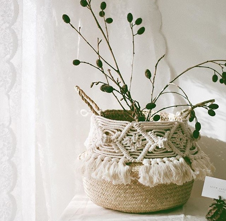 Woven belly basket with macrame sleeve and fringe holding a plant