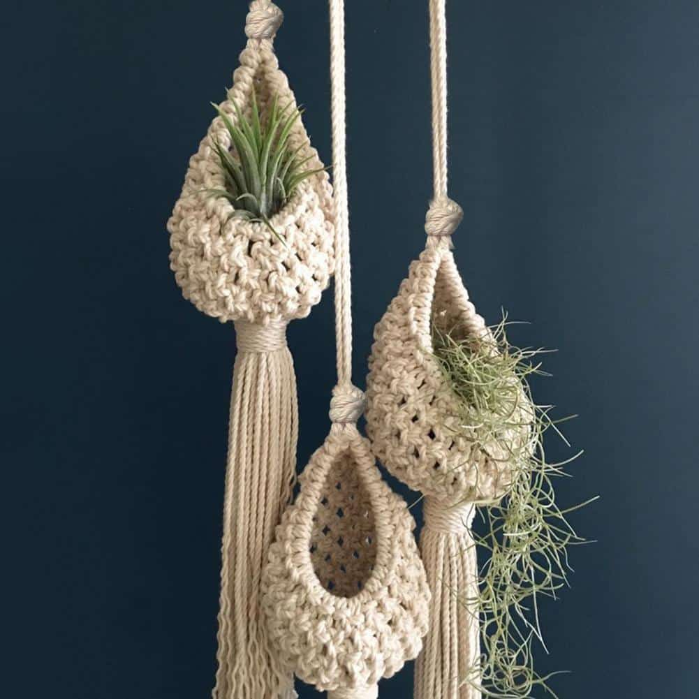 Cotton macrame hanging plant baskets with air plants