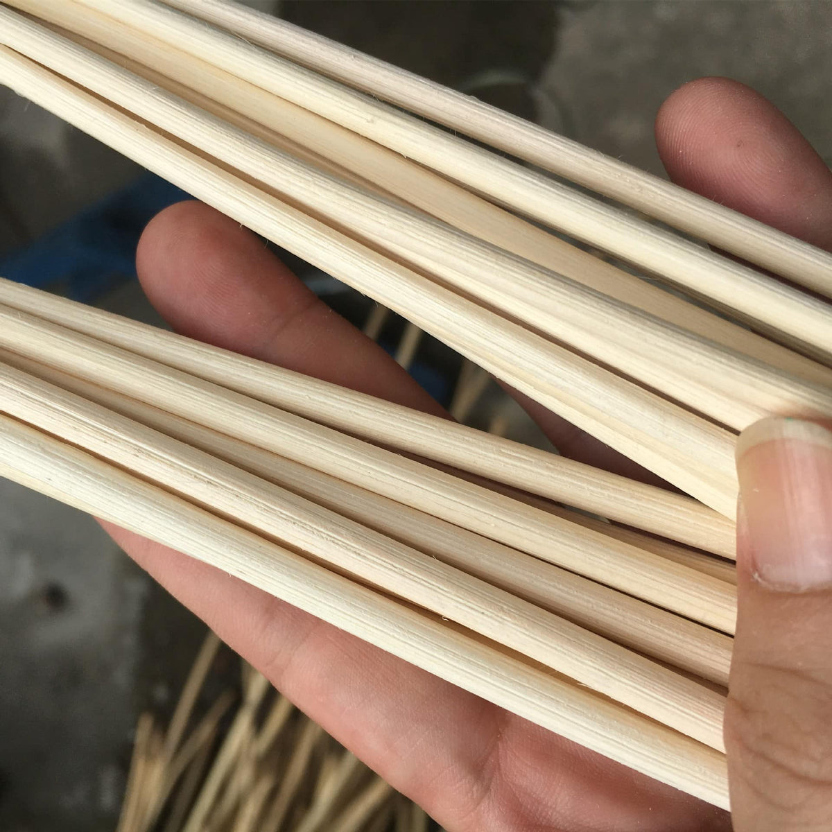 Coil of natural rattan reed core for caning and basketry