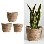 Natural hand woven rattan flower planter with a slightly flared shape