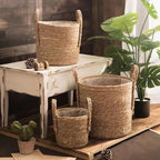 Natural woven storage baskets with handles and plants