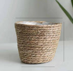 Natural woven storage baskets with handles and plants