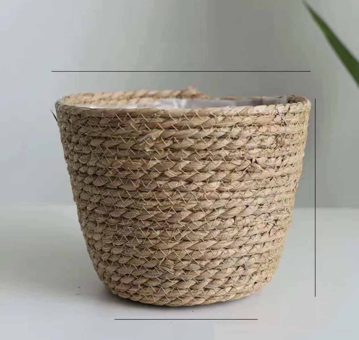 Natural woven storage baskets with handles and plants