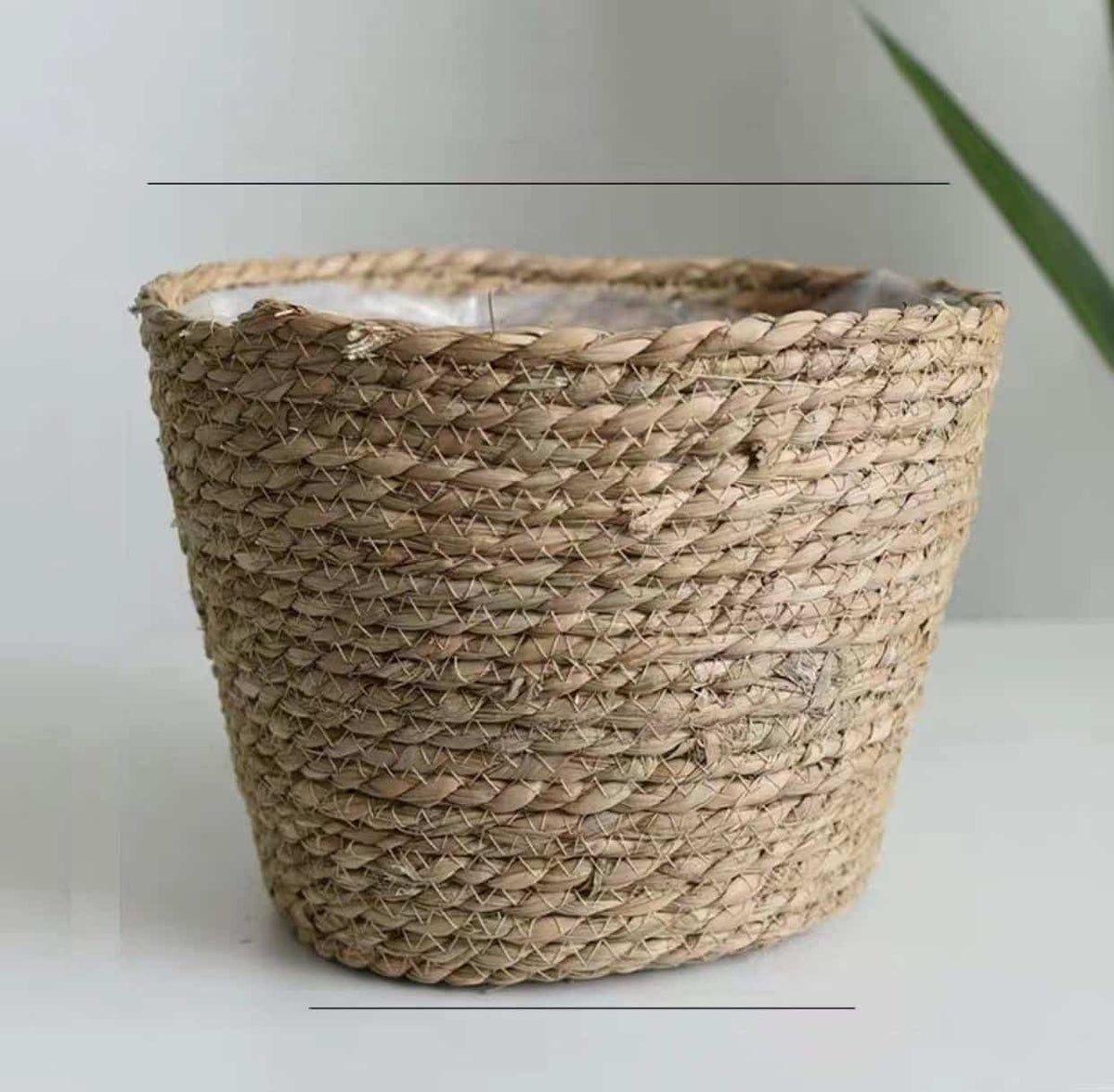 Natural woven storage baskets with handles and plants