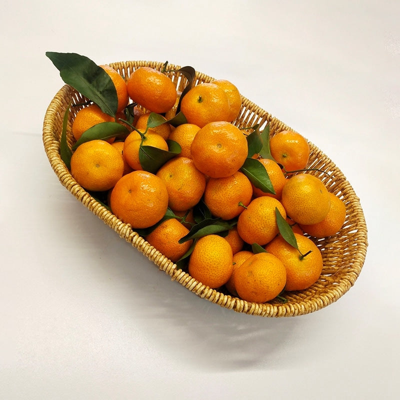 Oval rattan look bread basket with an orange