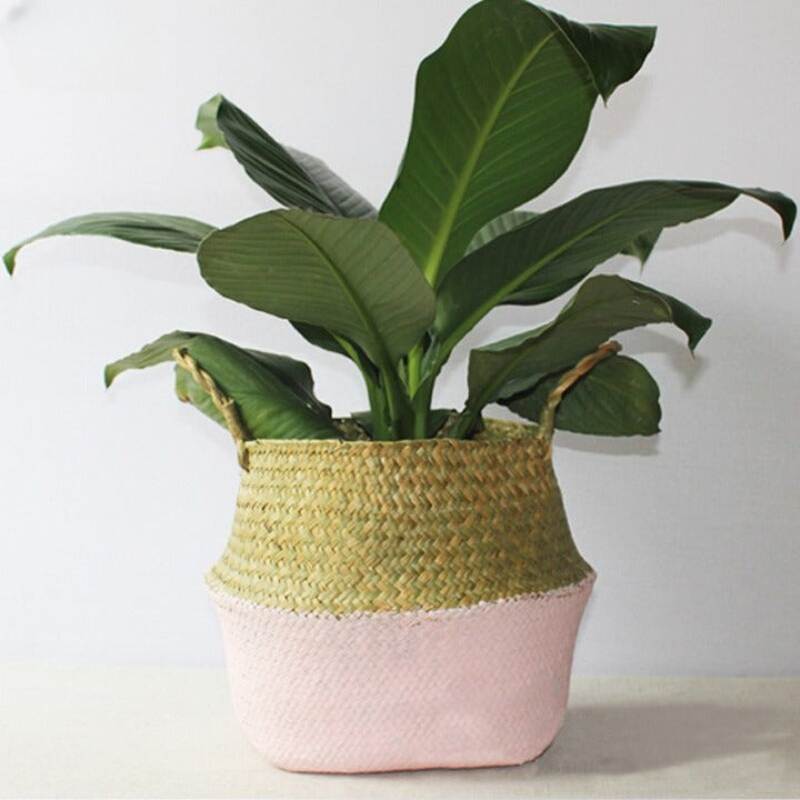 Two Tones for a Pot Cover