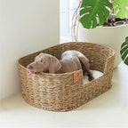 Rectangular wicker dog bed with a cushion
