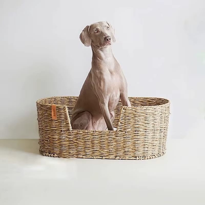 Natural Wicker, a Cozy Den