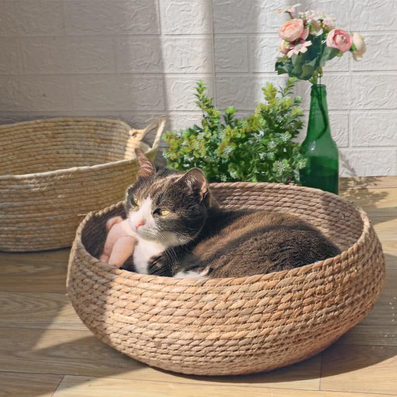 Large round low woven basket with a blue striped cushion