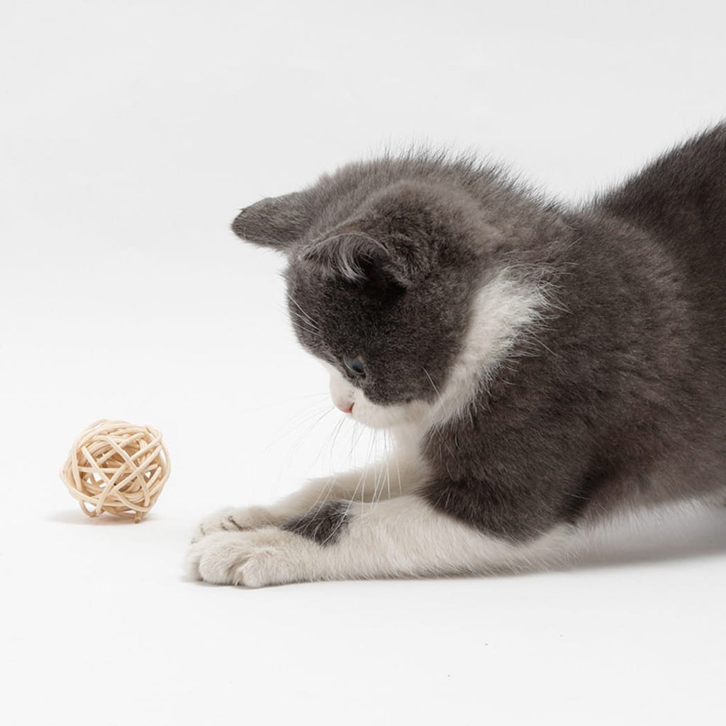 Open weave rattan cat ball next to a wrapped ball with a feather tuft