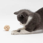 Open weave rattan cat ball next to a wrapped ball with a feather tuft