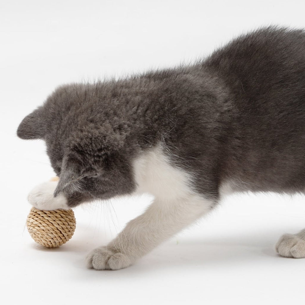 Open weave rattan cat ball next to a wrapped ball with a feather tuft