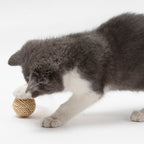 Open weave rattan cat ball next to a wrapped ball with a feather tuft