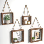 Four square wood box shelves hanging on rope with plants and a photo