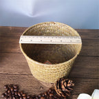 Small round handmade woven rattan planter in white or brown