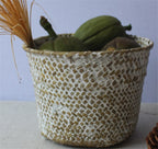 Small round handmade woven rattan planter in white or brown