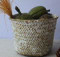 Small round handmade woven rattan planter in white or brown