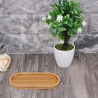 Small oval bamboo tray with a smooth raised rim
