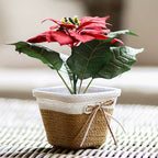 Small square hand woven natural rattan planter
