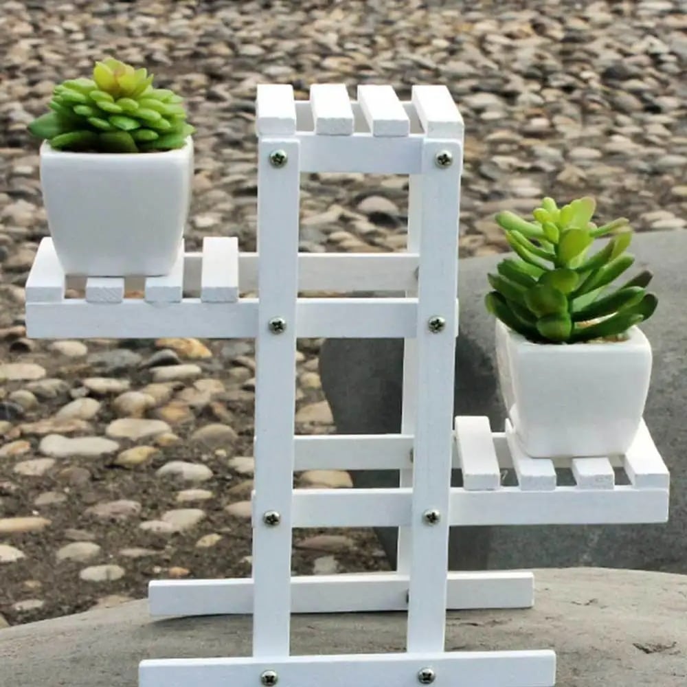 Wood and Plants, Stored Differently