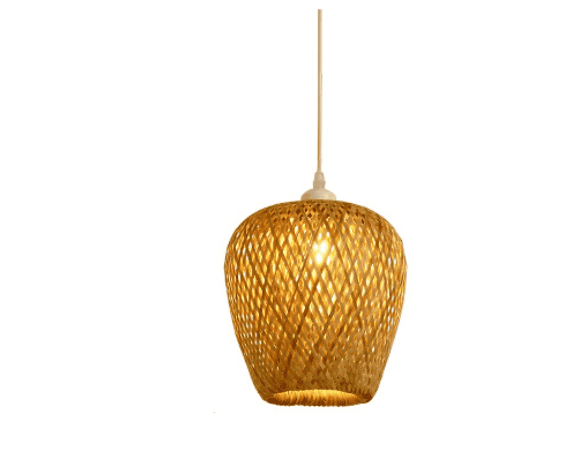 Small egg shaped woven pendant light