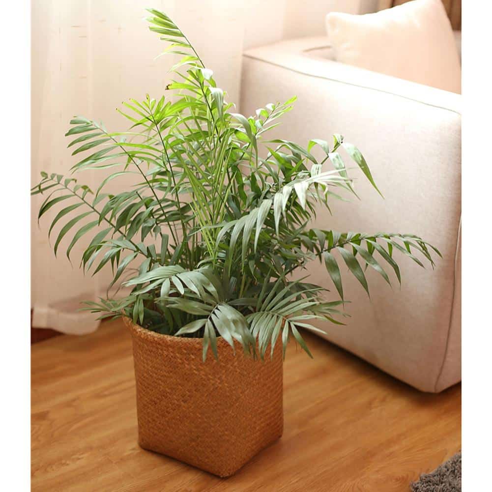 Three straight sided woven cylinder baskets on a shelf
