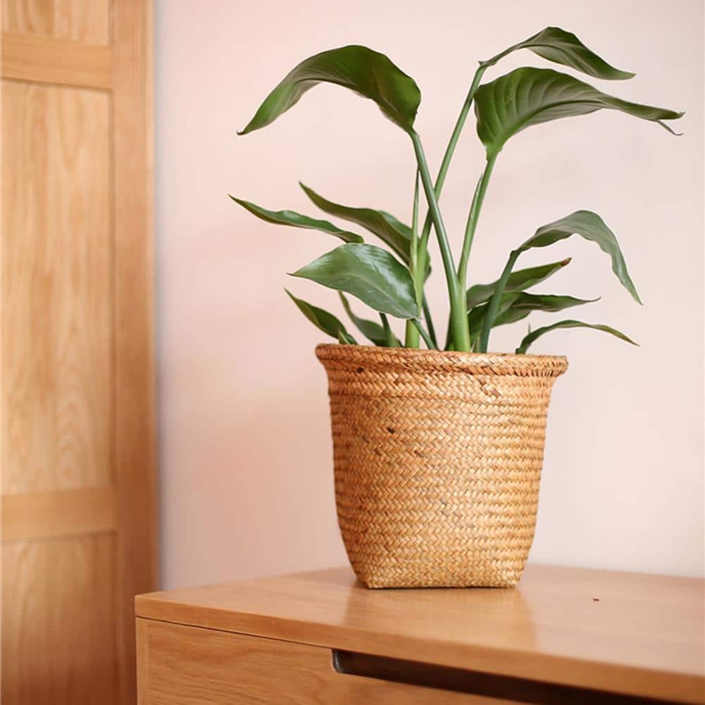 Three straight sided woven cylinder baskets on a shelf