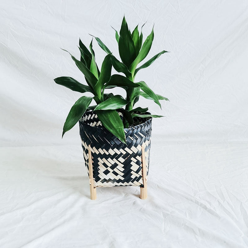 Hand woven rattan planter with black and natural two tone weave