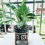 Hand woven rattan planter with black and natural two tone weave