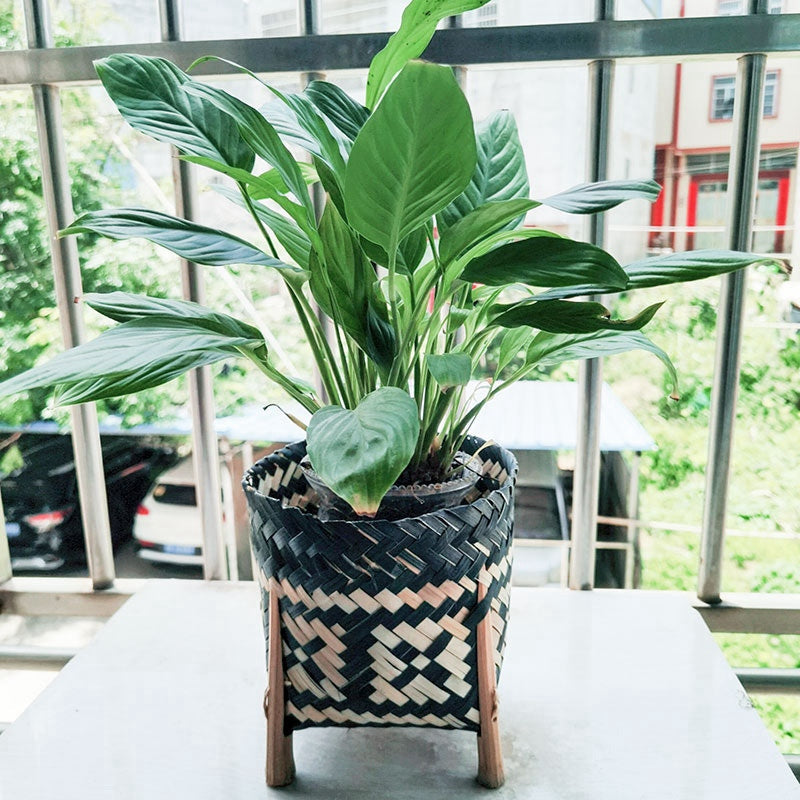 Hand woven rattan planter with black and natural two tone weave