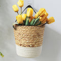 Seagrass wall basket with a white dipped base holding tulips