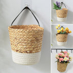 Seagrass wall basket with a white dipped base holding tulips