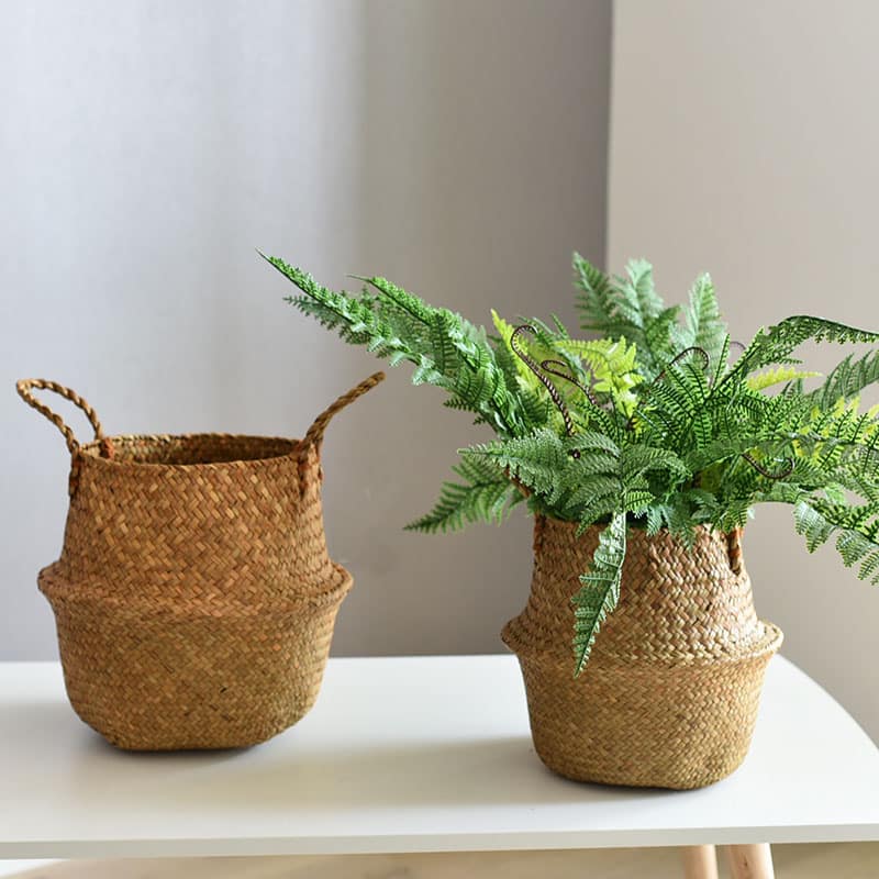 Woven belly plant baskets holding ferns
