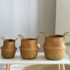 Woven belly plant baskets holding ferns