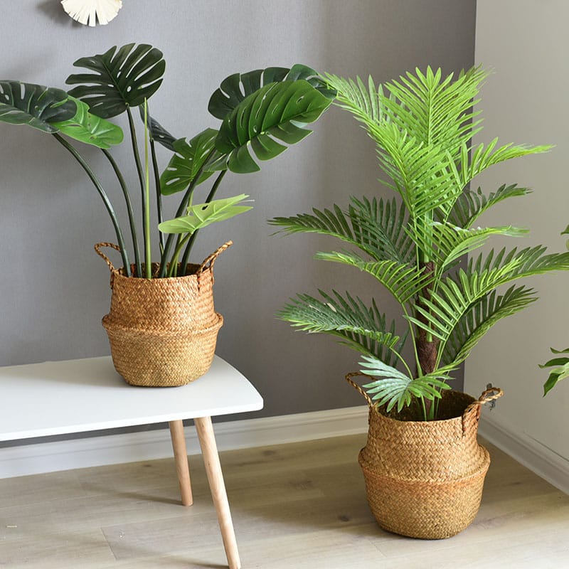 Woven belly plant baskets holding ferns